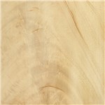 Bleached Crotch Mahogany